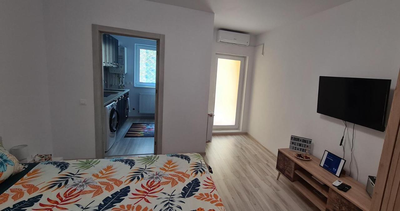 Siriului Studio Bucharest Luaran gambar