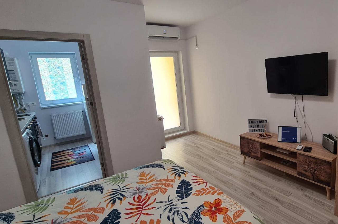 Siriului Studio Bucharest Luaran gambar