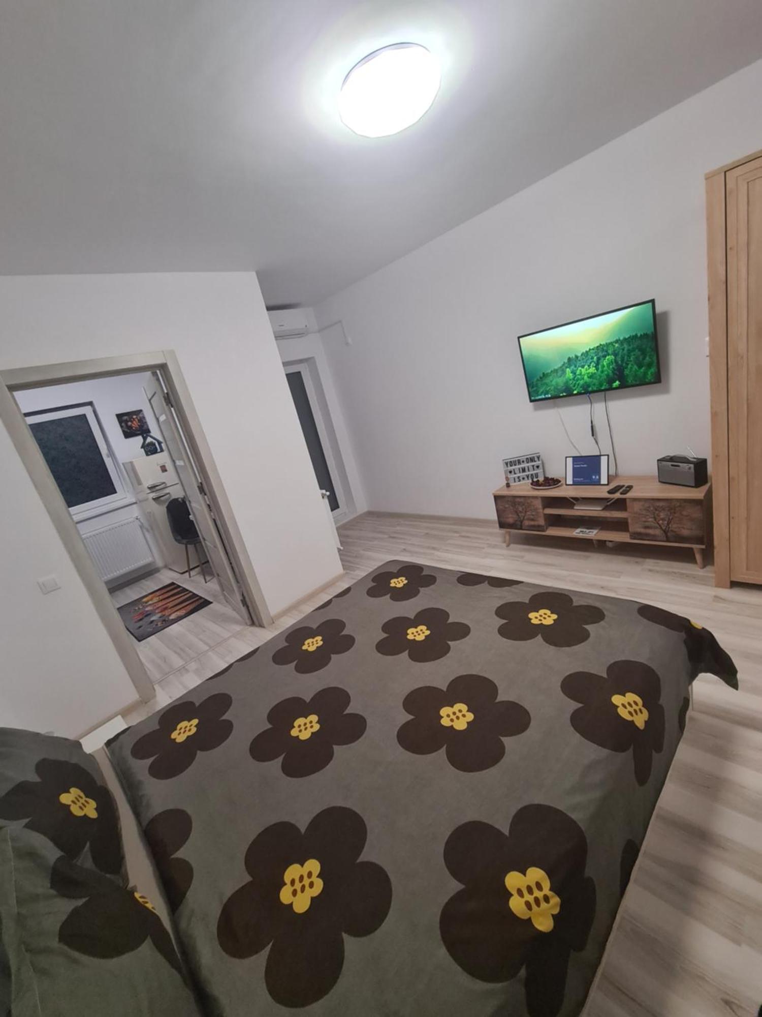 Siriului Studio Bucharest Luaran gambar