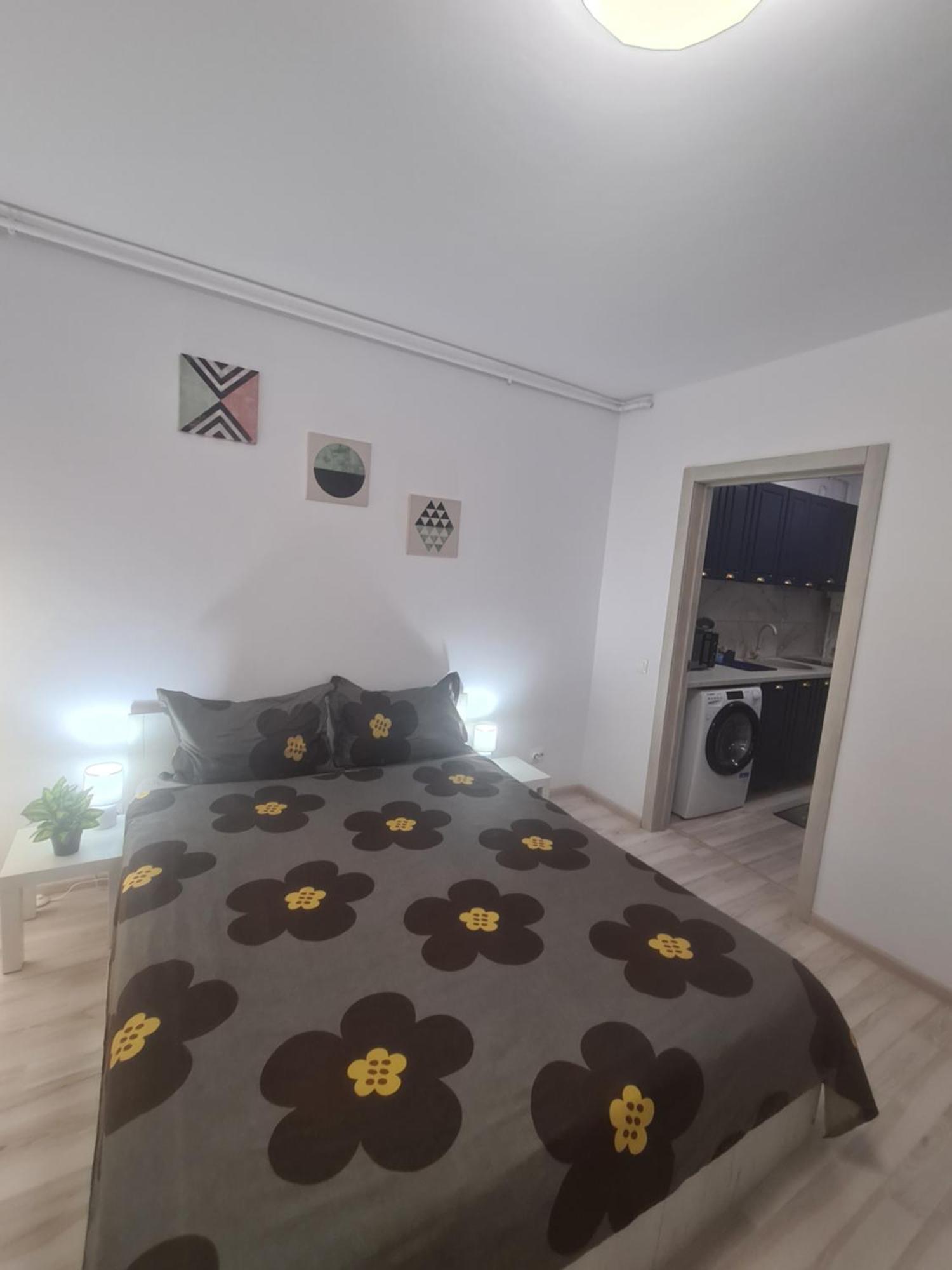 Siriului Studio Bucharest Luaran gambar